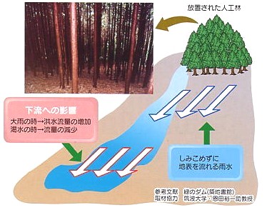 放置された人工林の下流への影響の図